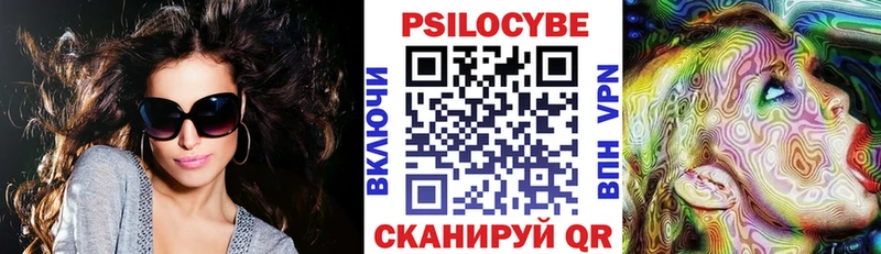 Галлюциногенные грибы Cubensis  Купить закладки  Новоржев 